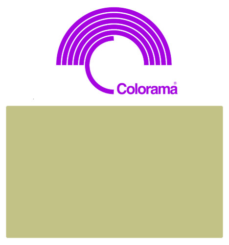 Colorama fern background - colorama, paper