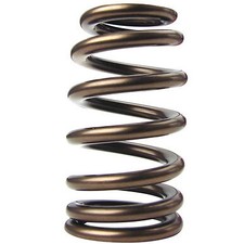 Valve Springs For LS6/LS3