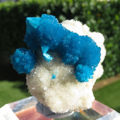 Minerals important - ***,