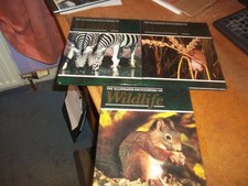 The Illustrated Encyclopedia