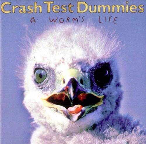 Crash test dummies - test, worm's