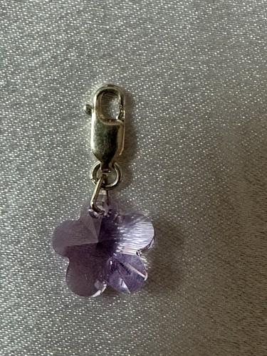 Sterling silver clip charm - sterling,