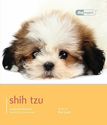 Shih tzu dog expert pat - shih,