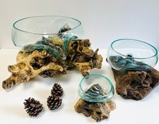 Molten Glass Bowl On Teak Root Stand Glass Rustic Wood Decorative Sculpture