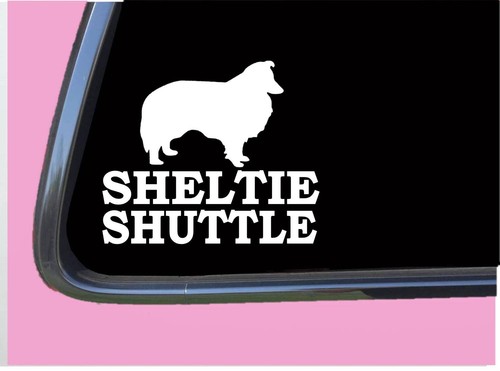 Sheltie shuttle 380 6 - ,