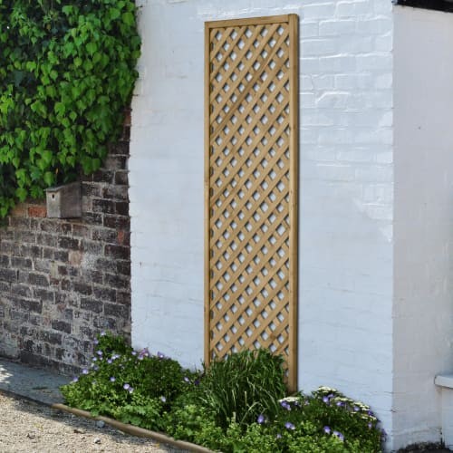 Forest garden diamond trellis - garden,