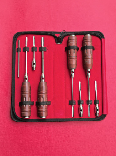 Equine dental elevators set - dental,