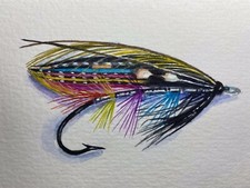 Watercolor Painting Fly