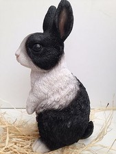 Dutch Rabbit Standing  Vivid