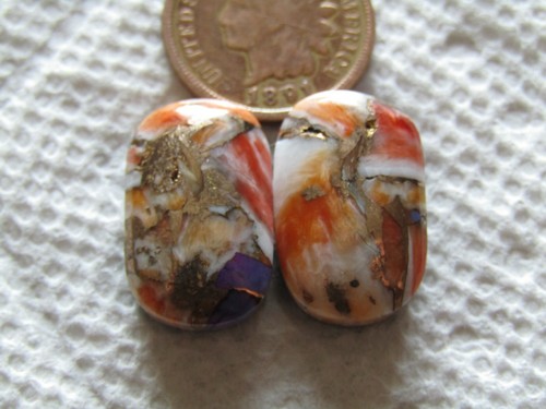 Spiny oyster shell purple - spiny,