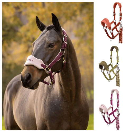 Lemieux vogue headcollar - headcollar, &