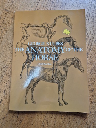 The anatomy - the,