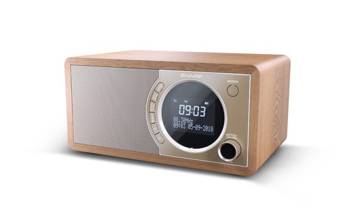 Sharp 450 digital radio - sharp, dr-450