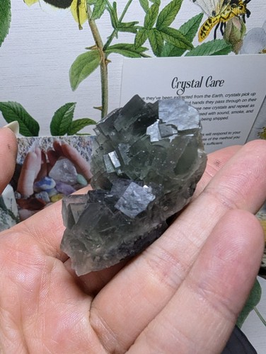 Fluorite crystal specimen - fluorite,