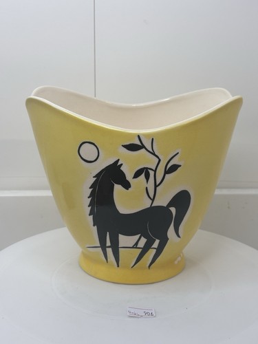 Stunning yellow royal norfolk - stunning,
