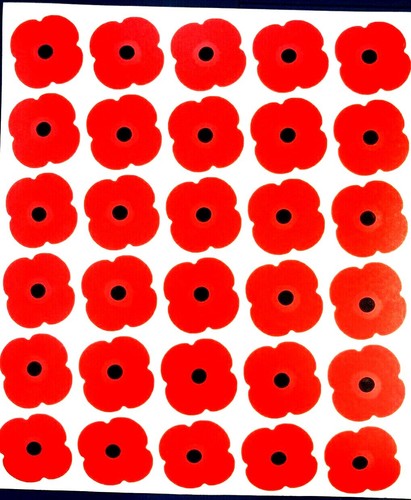 Remembrance poppies red 30 - x,