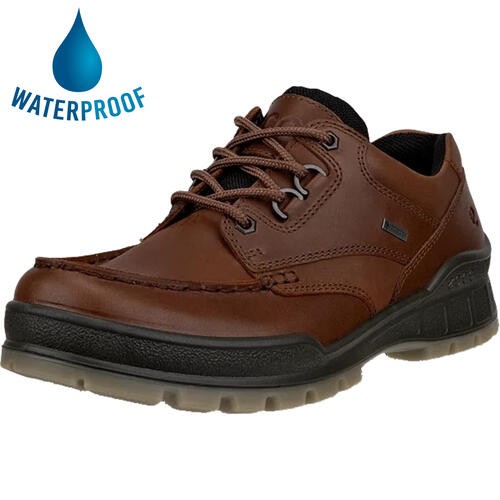 Ecco shoes track mens - track, gtx