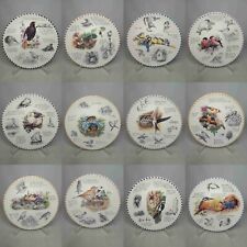 Your Choice of Plates