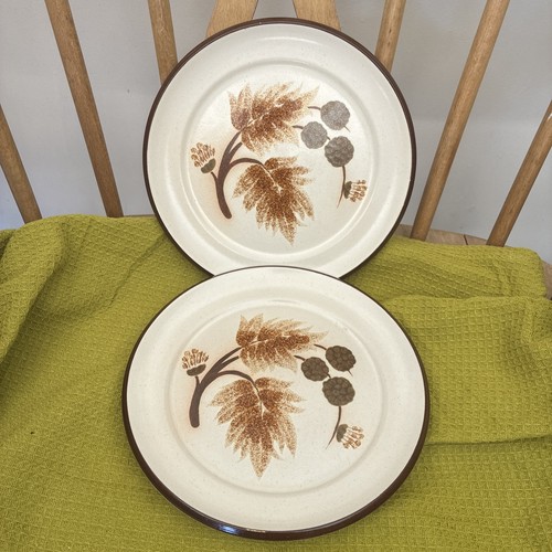 Denby cotswold 2 x - cotswold,