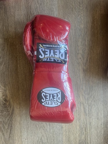 Cleto reyes boxing training - boxing,