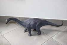 Schleich Dinosaur 16462
