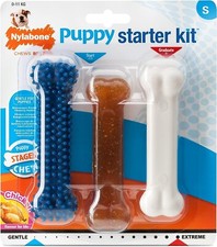Nylabone Puppy Starter Kit 3