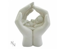 SHELTER BABY IN HANDS GUIDANCE