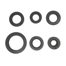 Engine Oil Seal Kit for Honda