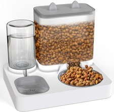 2 in 1 Automatic Pet Feeder
