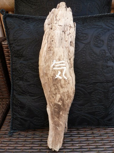 Hand carved driftwood - driftwood, wall