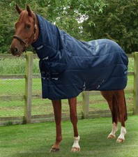 Premier Equine Stratus Stable