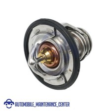 76°C Thermostat For