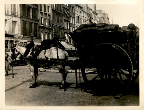 Ga112 original photo horse and - original,