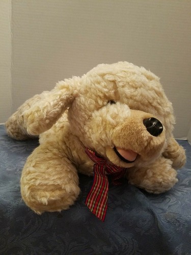 Adorable playful pals puppy - adorable,