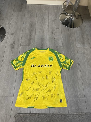 Norwich city full squad - fc,