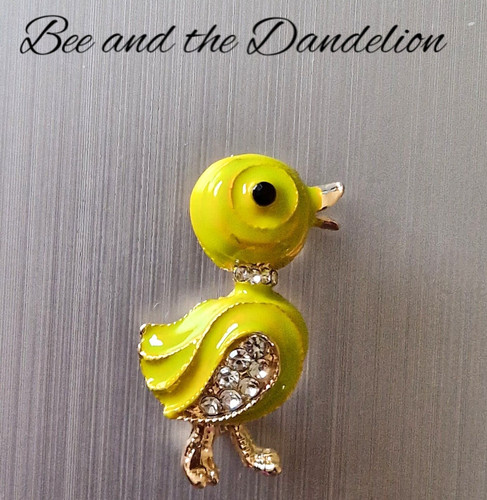 Small duckling with - small,