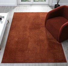 Comfy Living Room Rug Anti