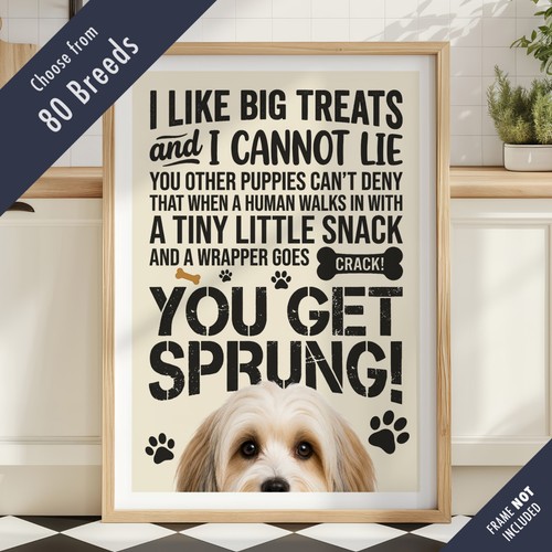 Funny dog treats lyric - funny,