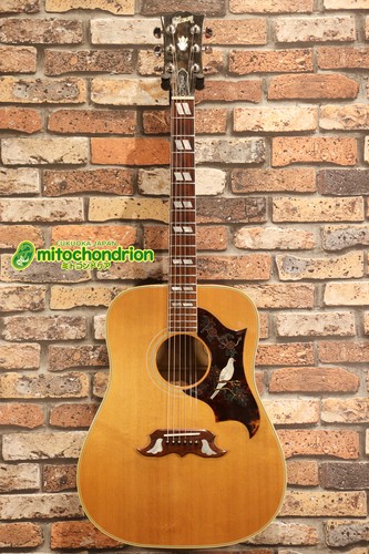 Gibson 1991 dove natural - 1991, /
