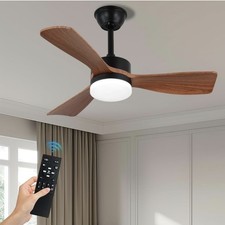 51CM Ceiling Fan Light, 6