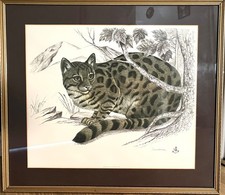 Rama Samaraweera Print Ocelot