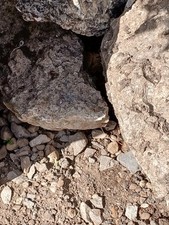 Garden Rocks /Natural Stone