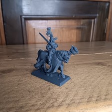 Bretonnian Lord With Great