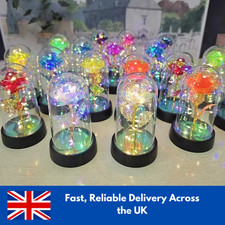 Galaxy Forever Rose Flower LED