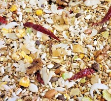 AFRICAN GREY LOW SUNFLOWER