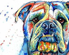 Beautiful Bulldog Art HD Canvas 20X30 Inch ANIMAL WATERCOLOUR Wall Art Picture
