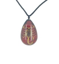 Real Scorpion Red and Black