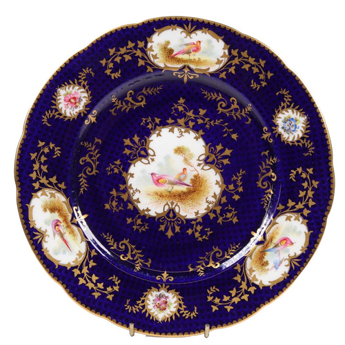 Coalport plate exotic birds - exotic,