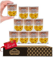 SALYSOL Snacks Spicy Coated