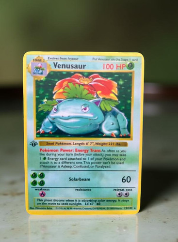 Custom made venusaur 1st - custom, ~~